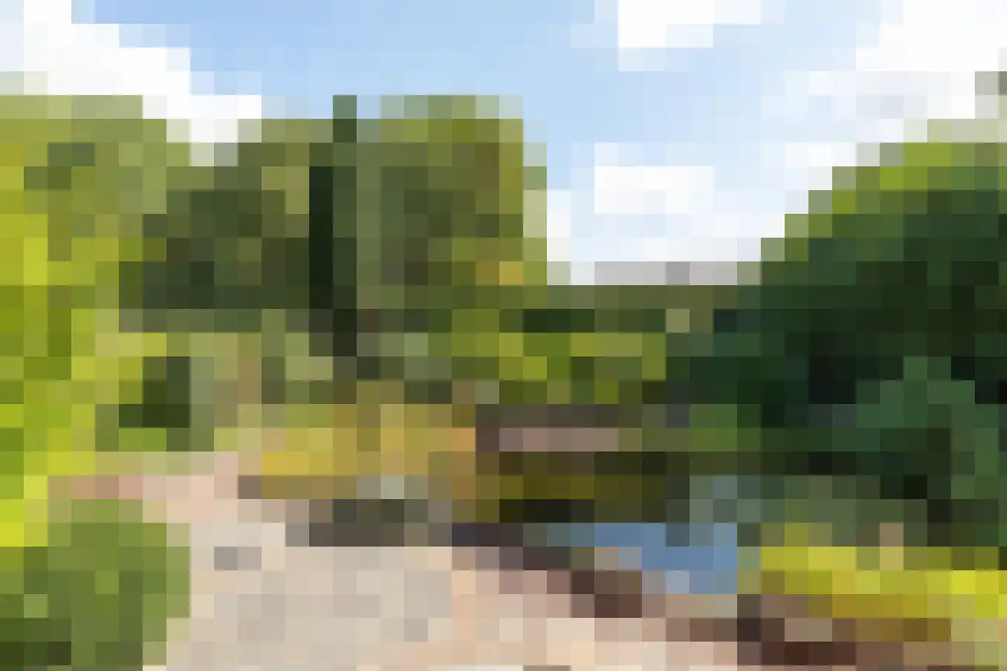Rading 124 Loosdrecht thumbnail 54