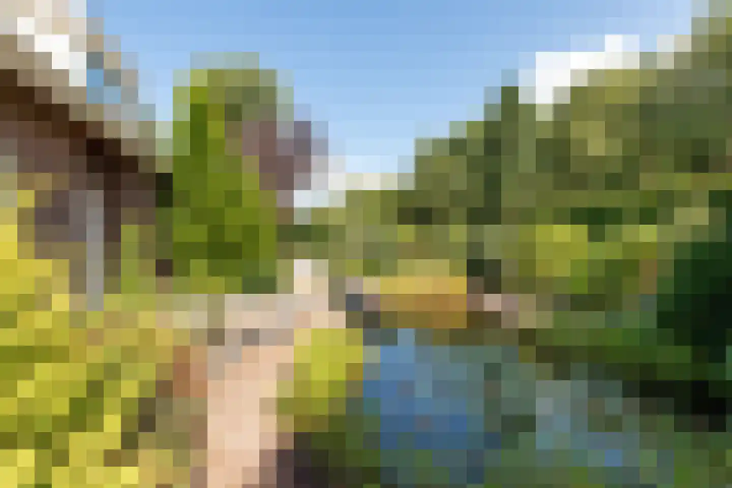 Rading 124 Loosdrecht thumbnail 55