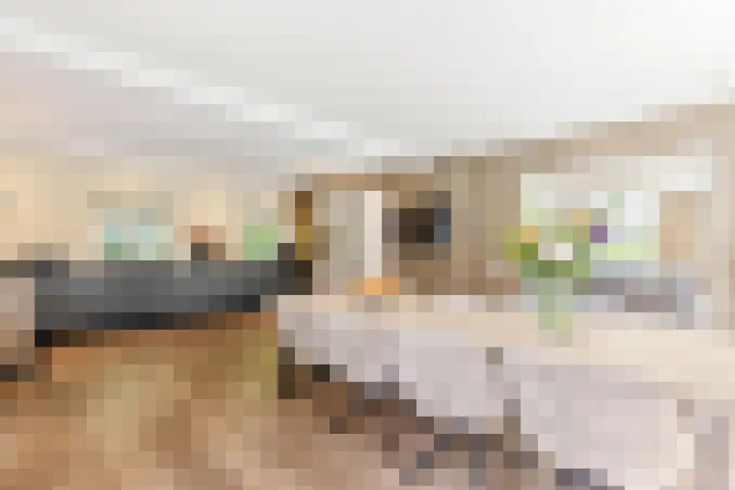 Rading 126 Loosdrecht thumbnail 26