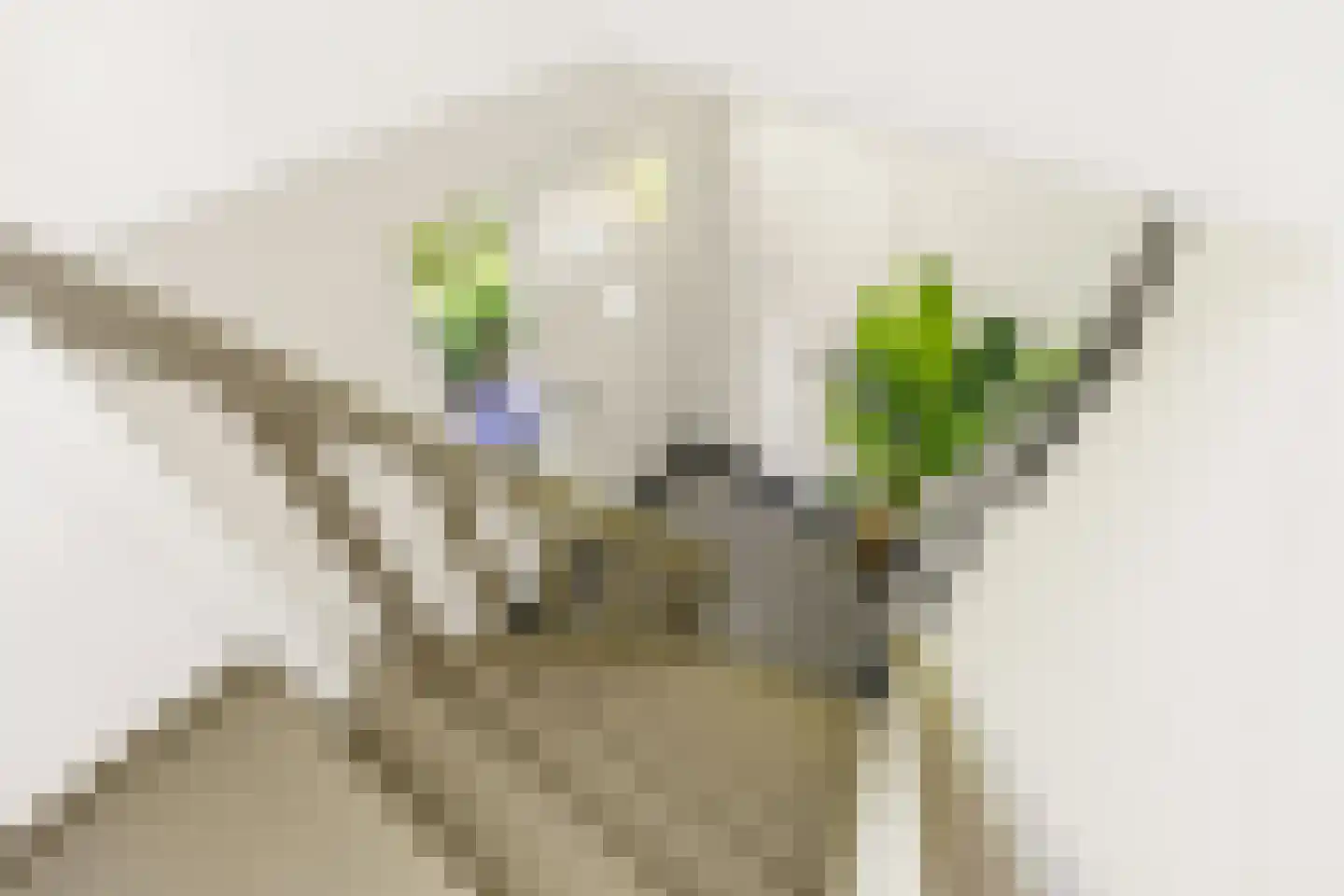 Rading 126 Loosdrecht thumbnail 33