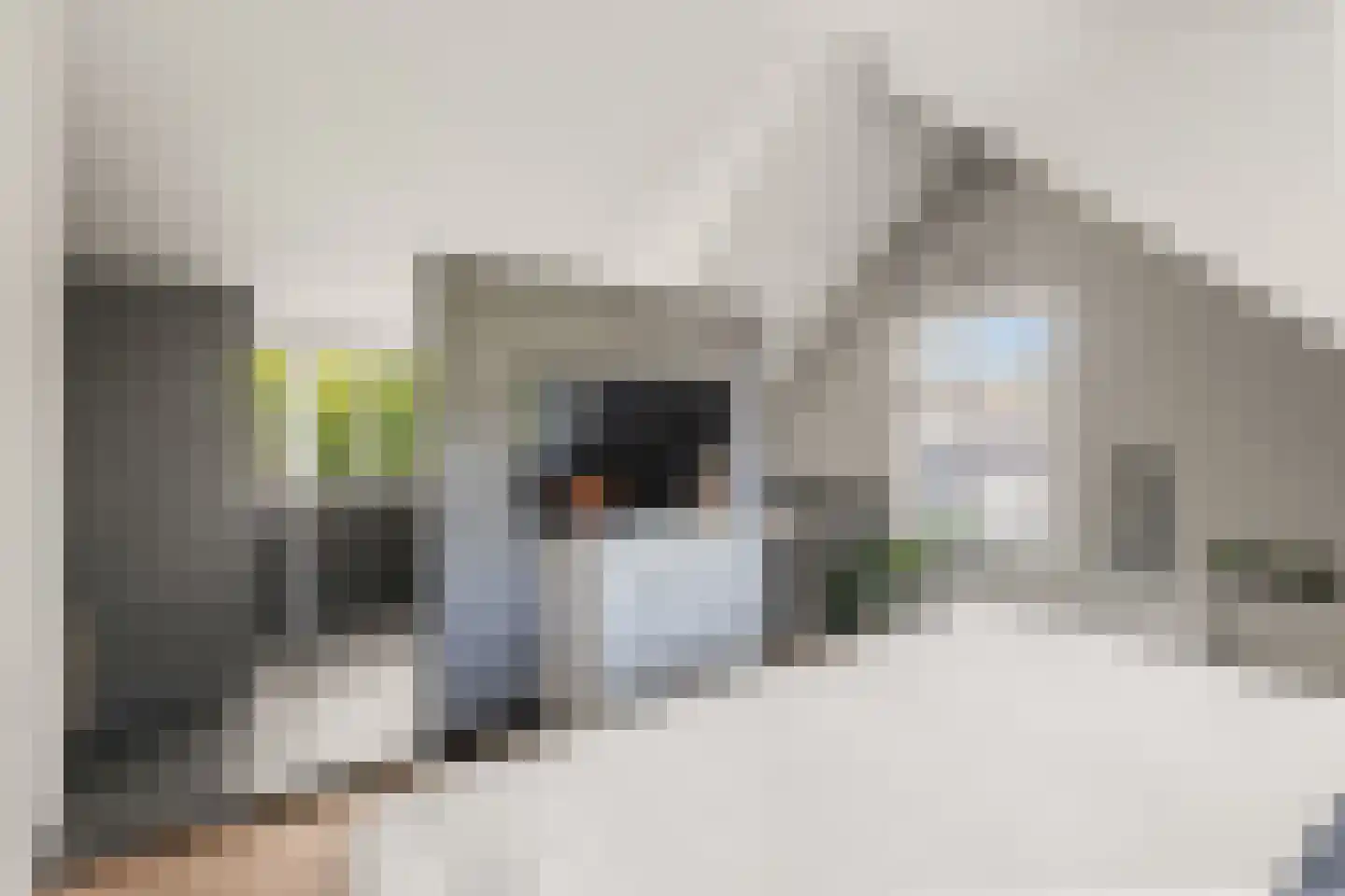 Rading 126 Loosdrecht thumbnail 40