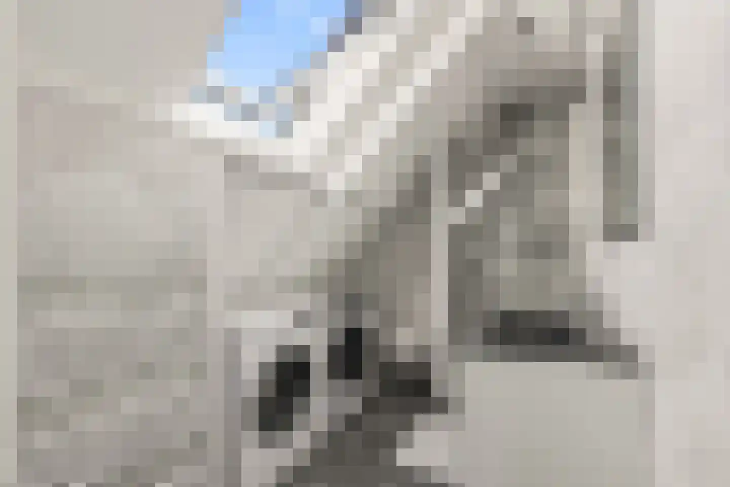 Rading 126 Loosdrecht thumbnail 47