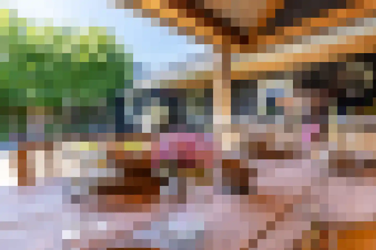 Rading 126 Loosdrecht thumbnail 63