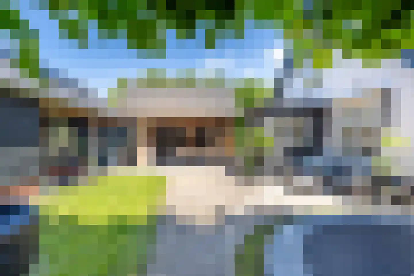 Rading 126 Loosdrecht thumbnail 65