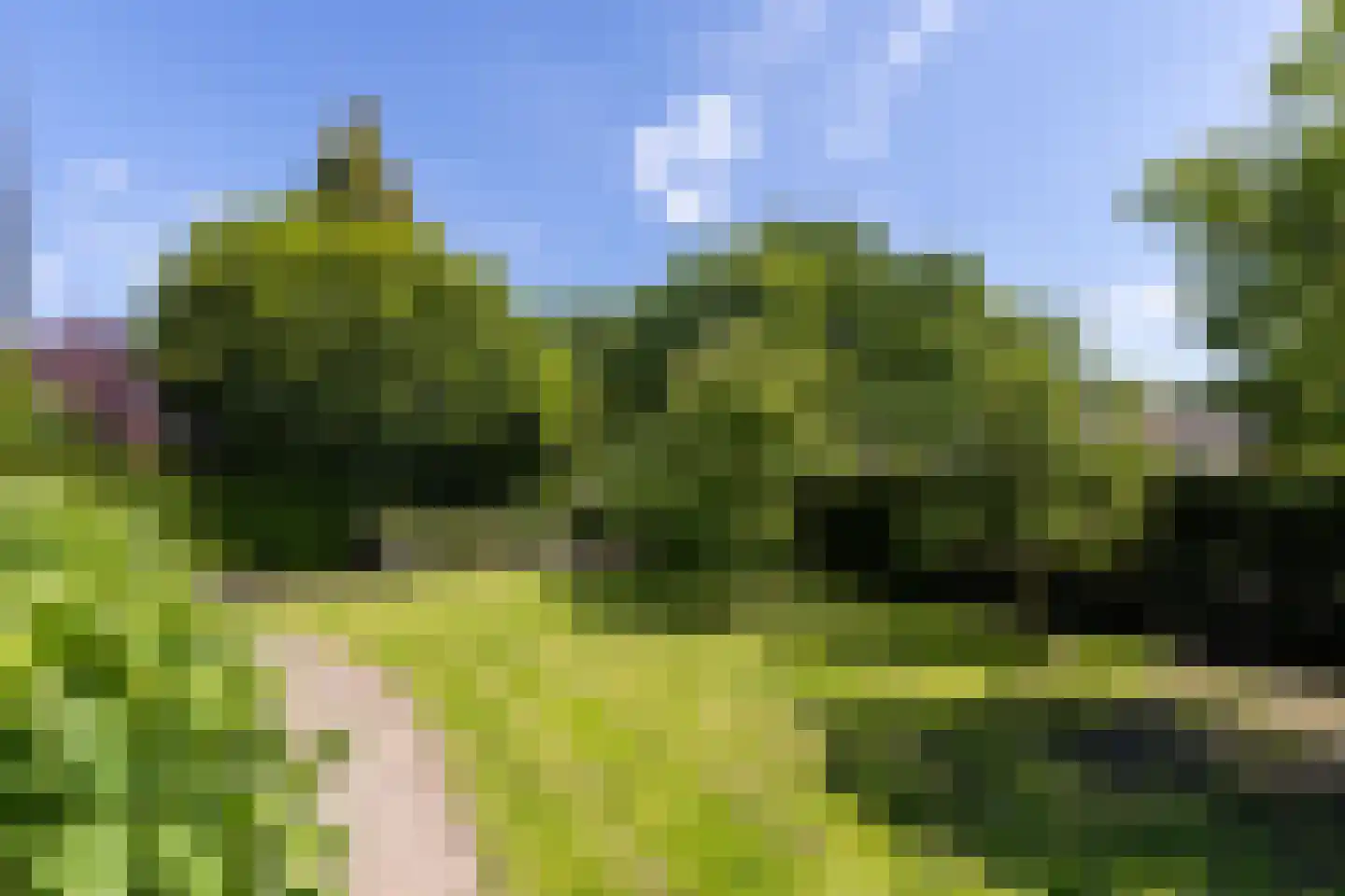 Rading 126 Loosdrecht thumbnail 8