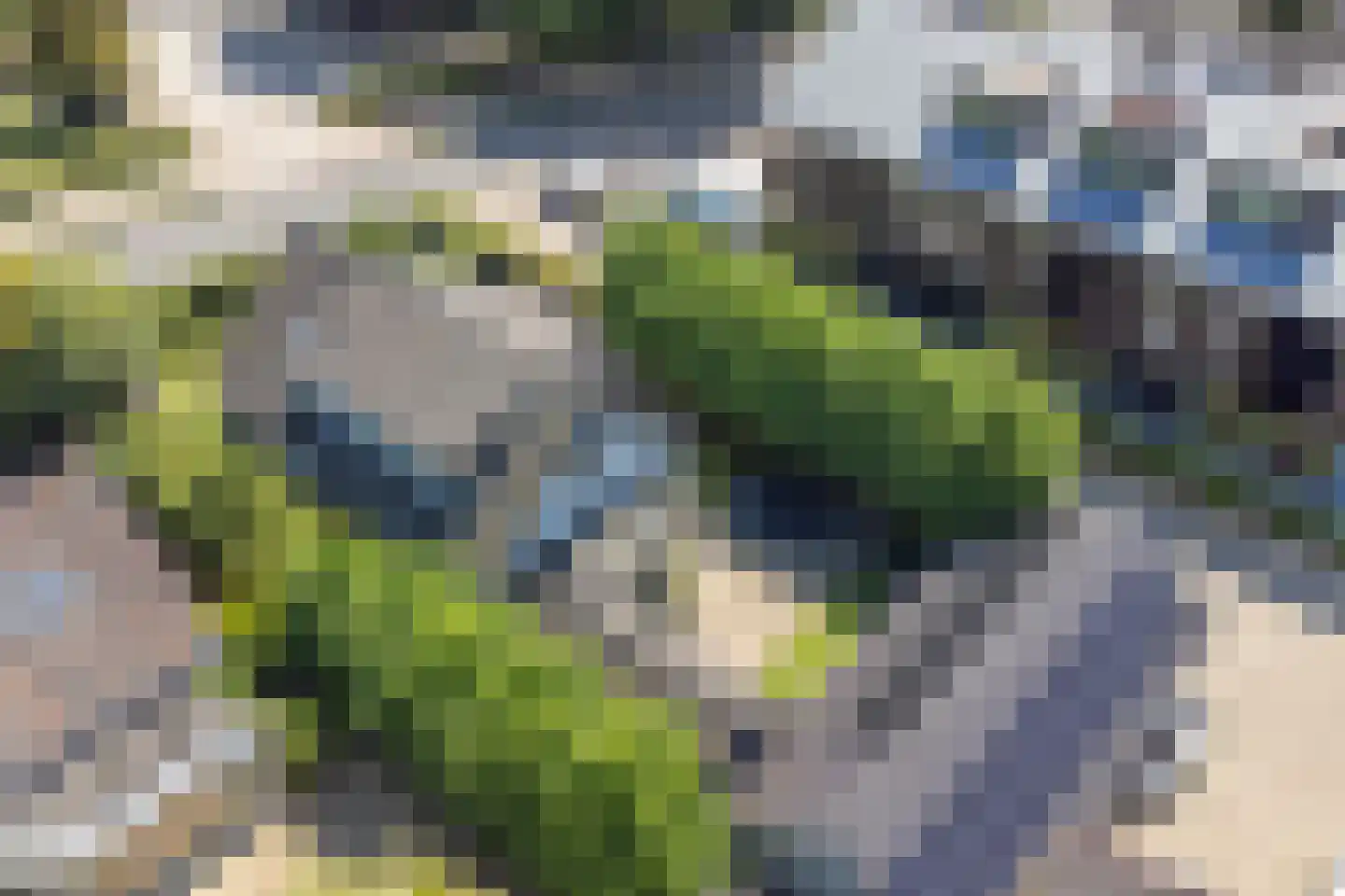 Rading 126 Loosdrecht thumbnail 82