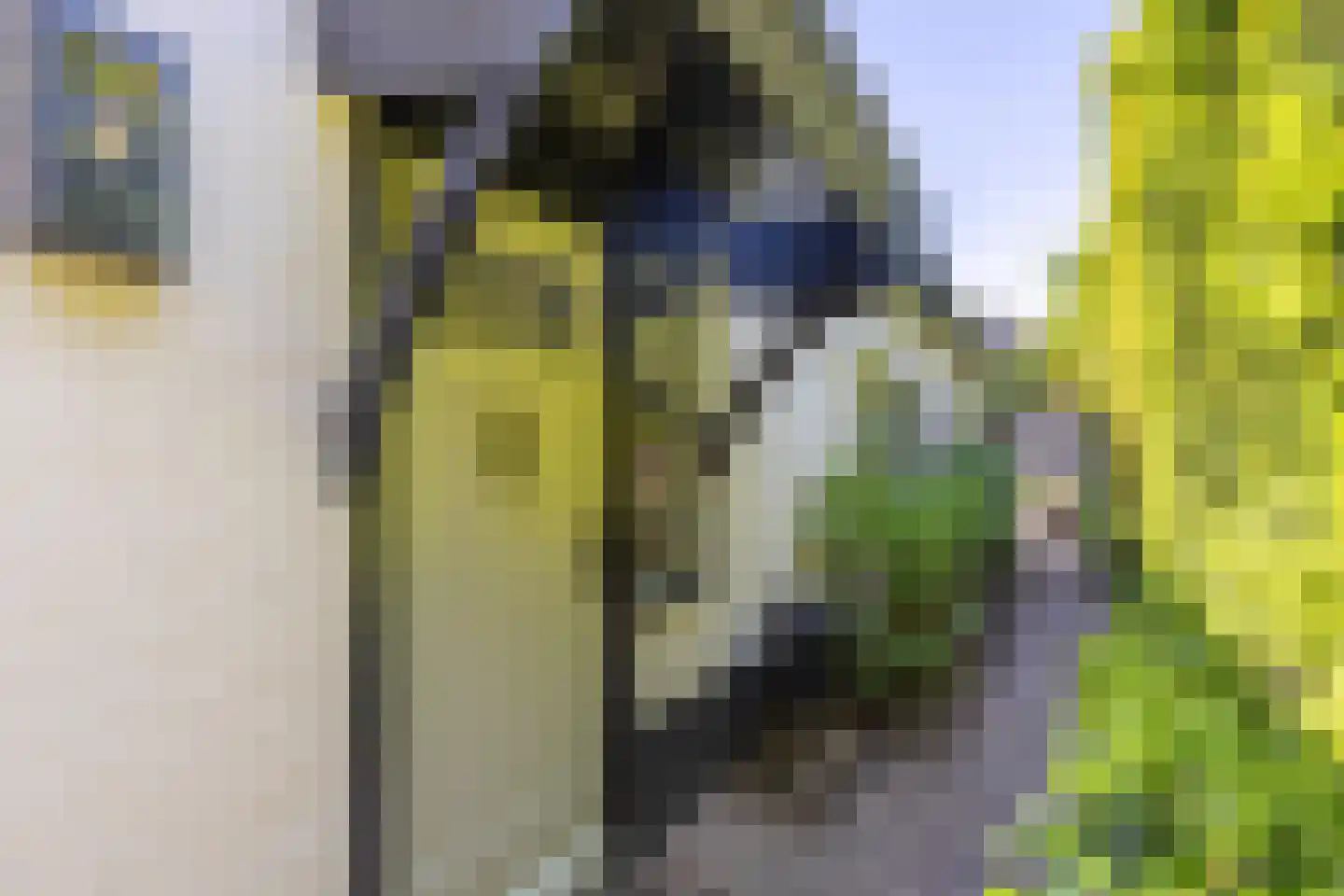 Rading 126 Loosdrecht thumbnail 9