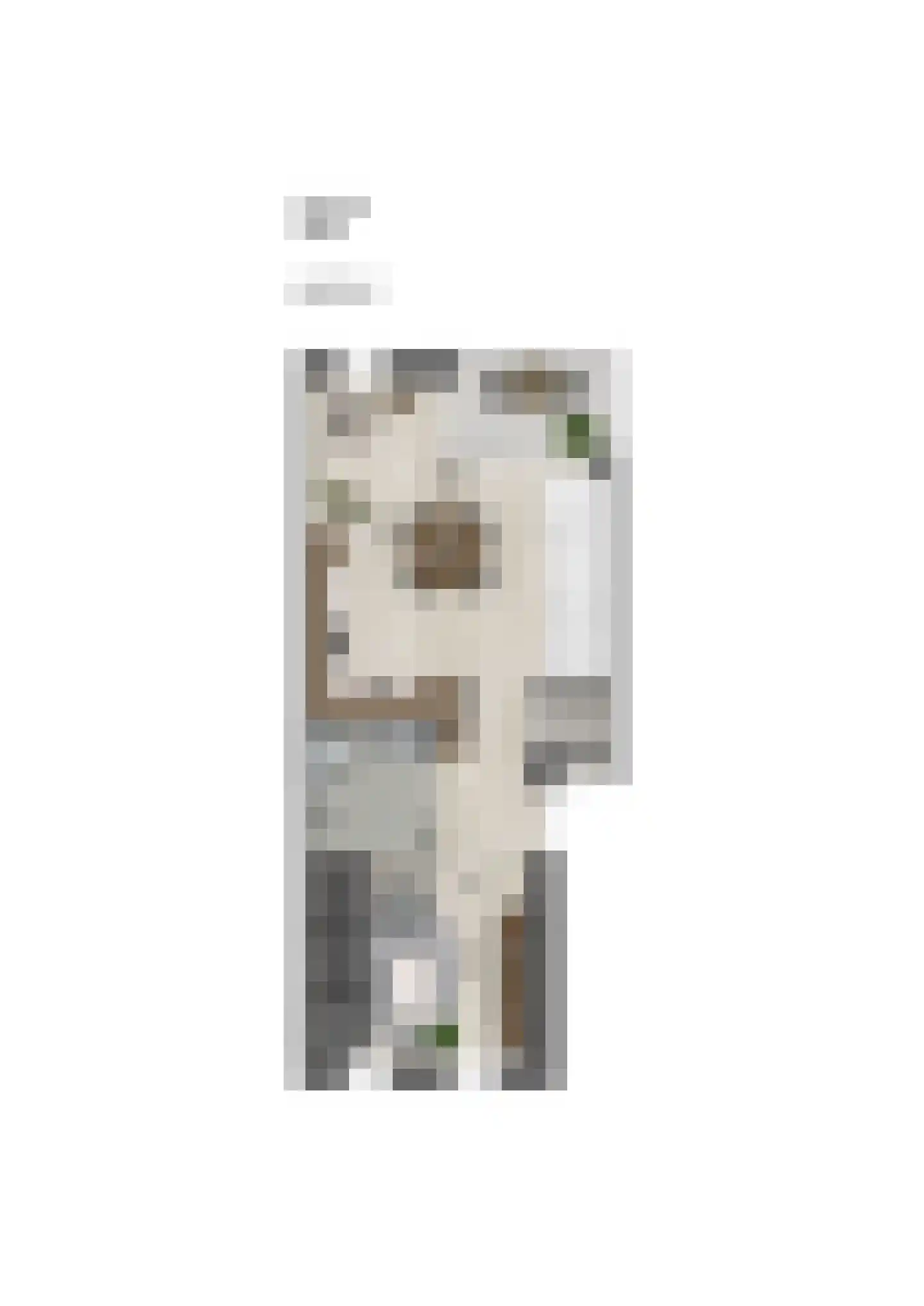 Rading 128 K Loosdrecht thumbnail 5