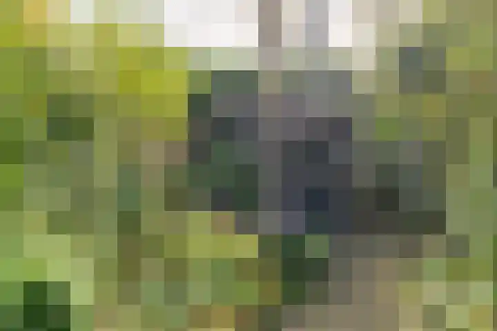 Rading 16 04 Loosdrecht thumbnail 21