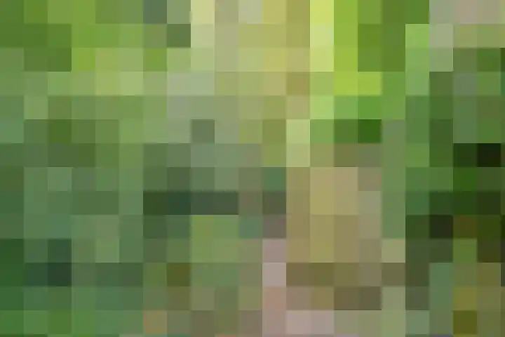Rading 16 04 Loosdrecht thumbnail 22