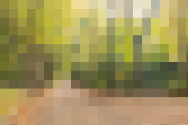 Rading 16 04 Loosdrecht thumbnail 33
