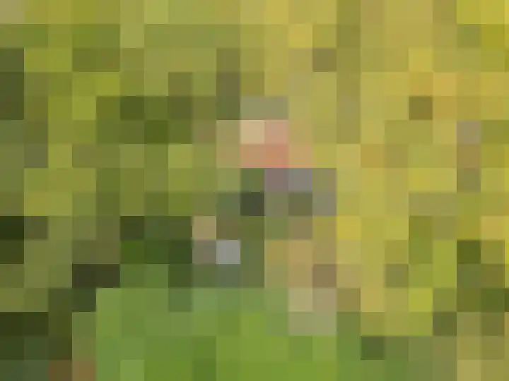 Rading 16 04 Loosdrecht thumbnail 35