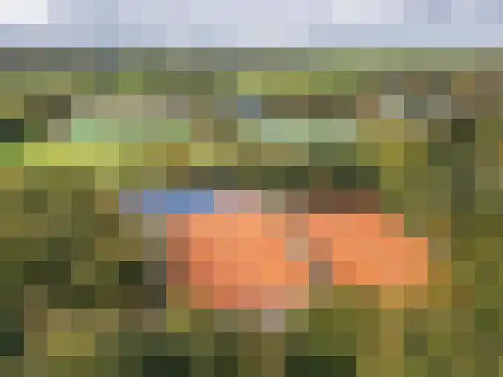 Rading 16 04 Loosdrecht thumbnail 36