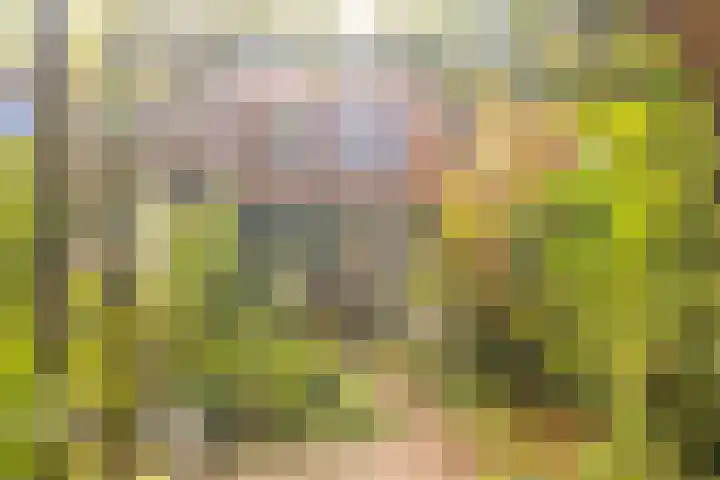 Rading 16 04 Loosdrecht thumbnail 4