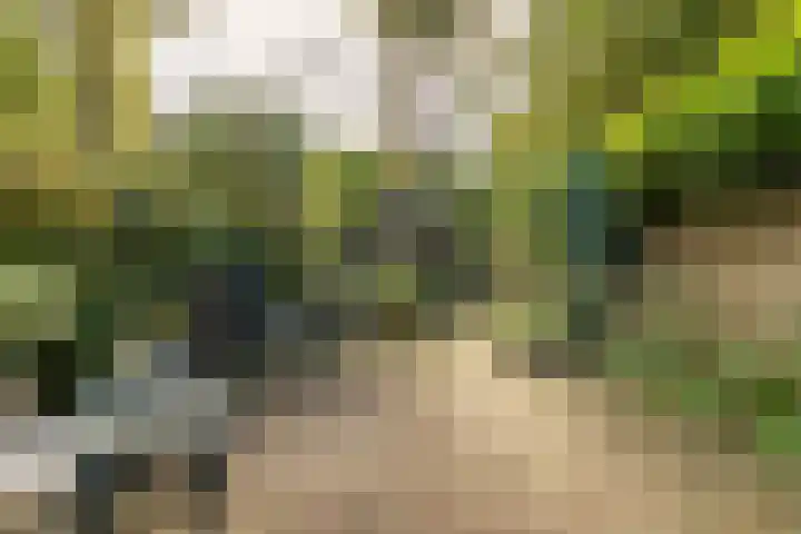 Rading 16 04 Loosdrecht thumbnail 5