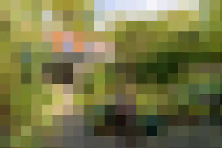 Rading 16 04 Loosdrecht thumbnail 6