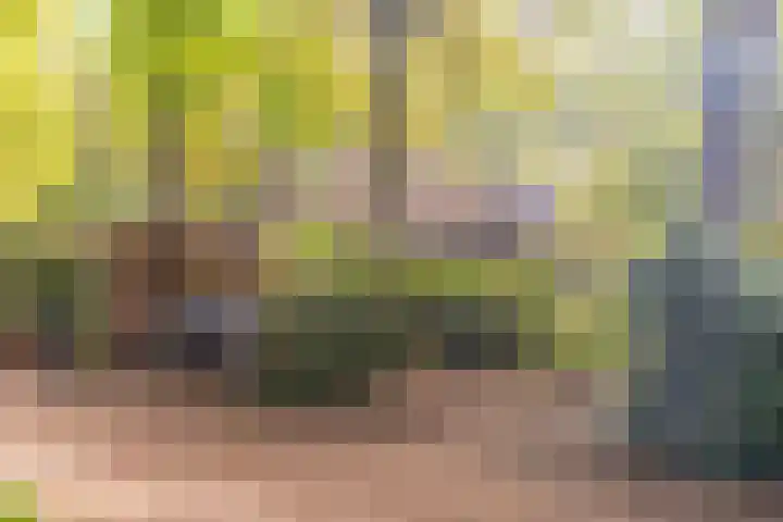Rading 16 04 Loosdrecht thumbnail 8