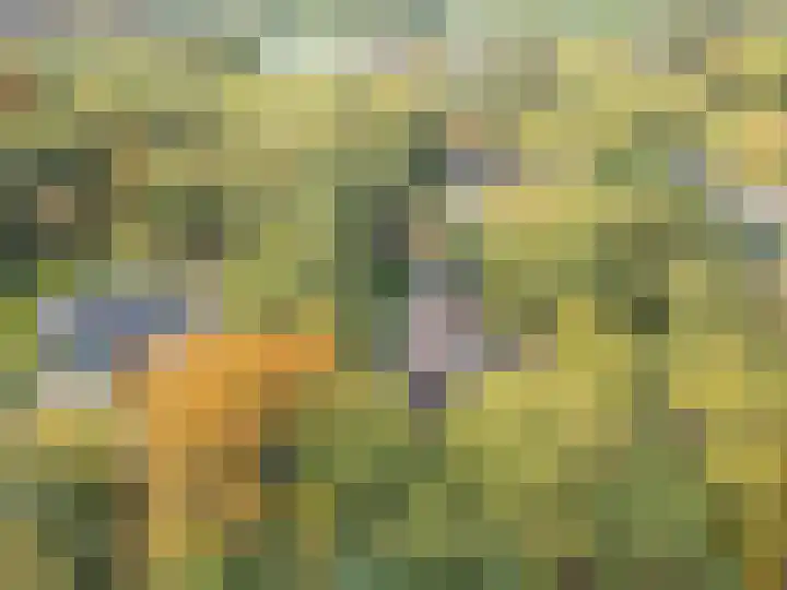 Rading 16 04 Loosdrecht thumbnail 9