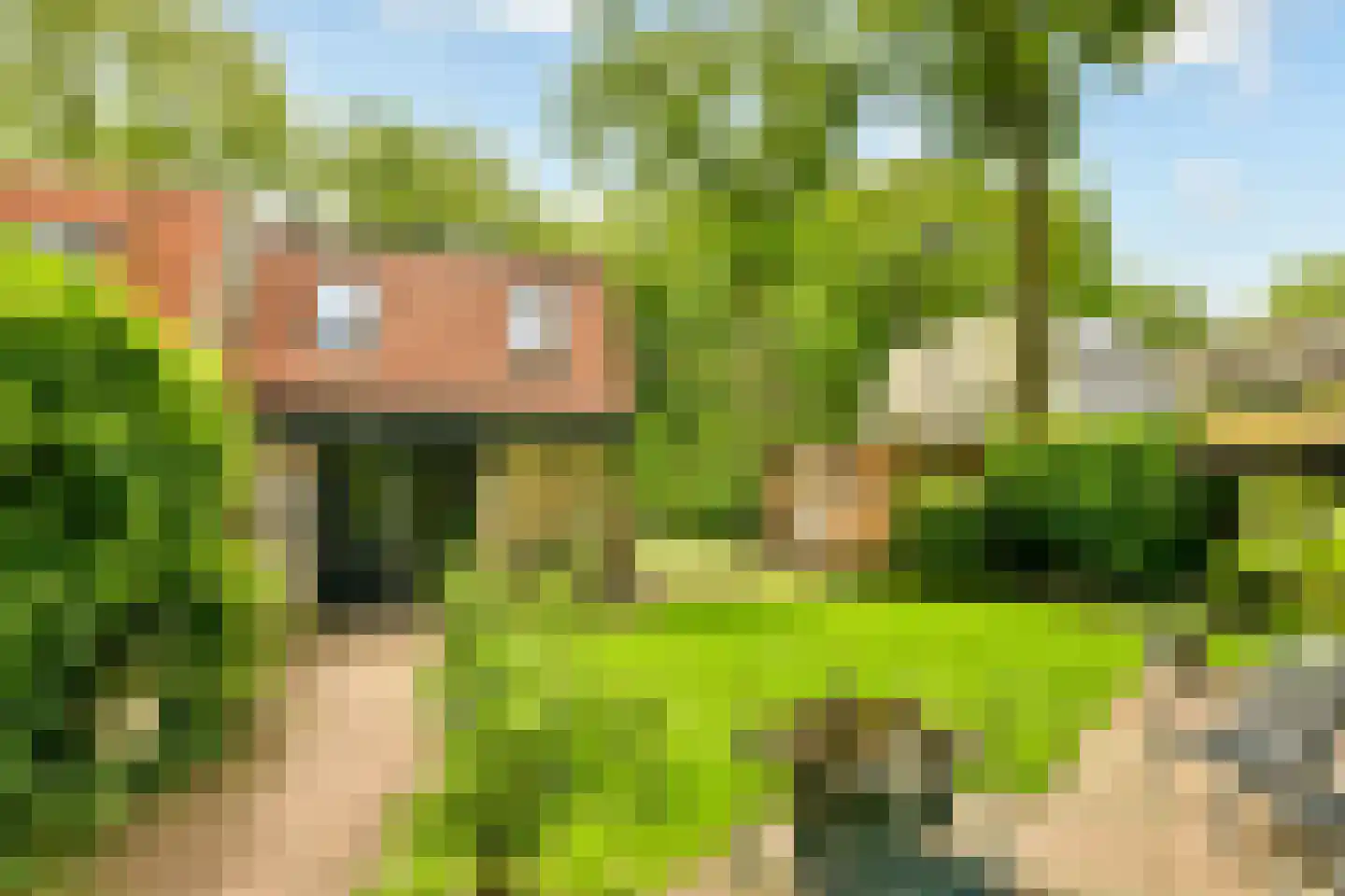 Rading 16 05 Loosdrecht thumbnail 20