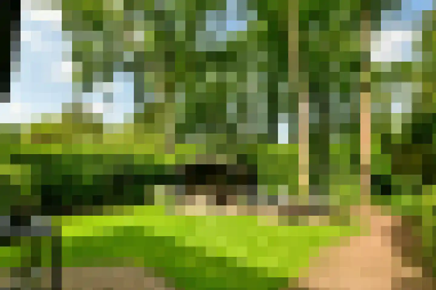 Rading 16 05 Loosdrecht thumbnail 23