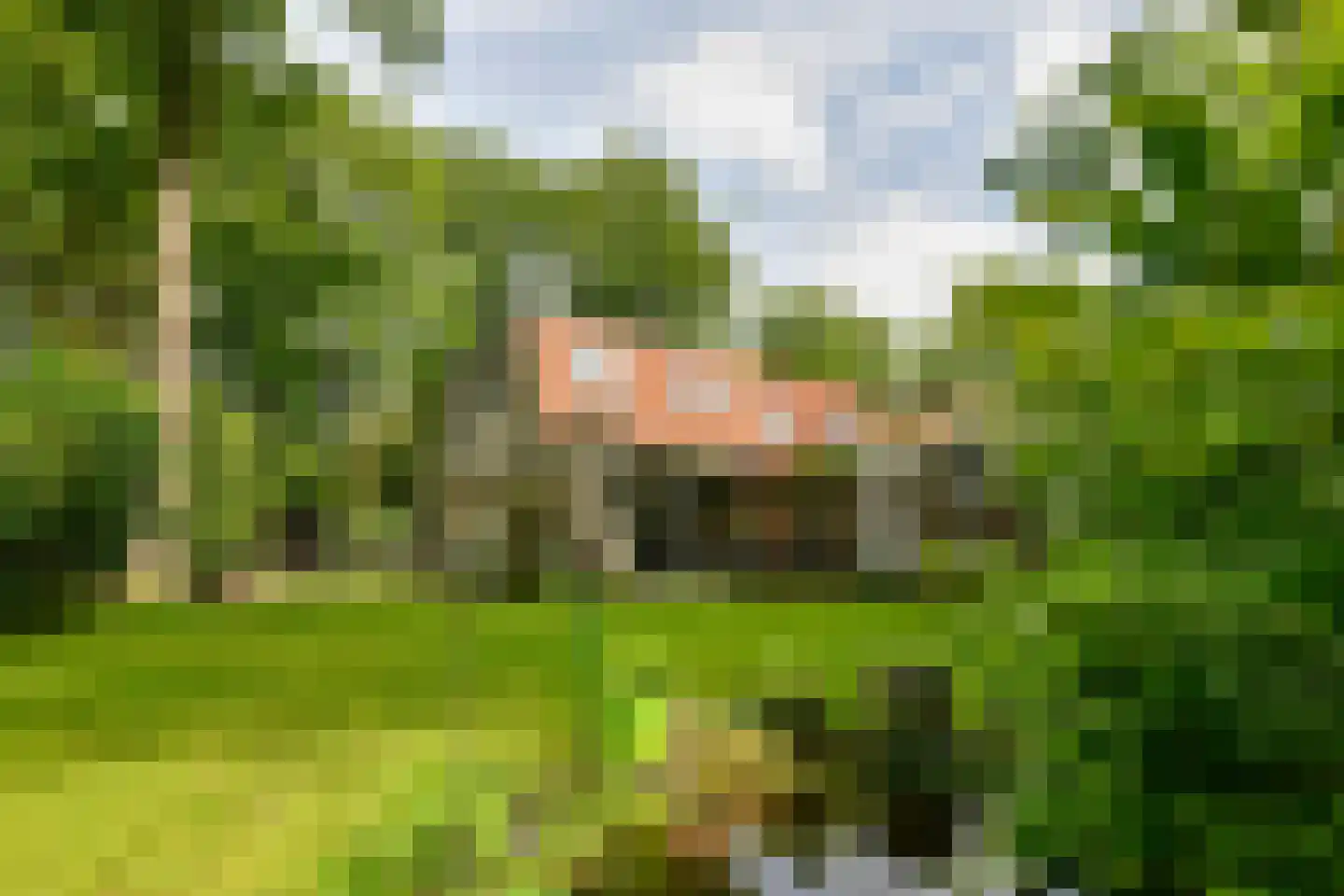Rading 16 05 Loosdrecht thumbnail 24