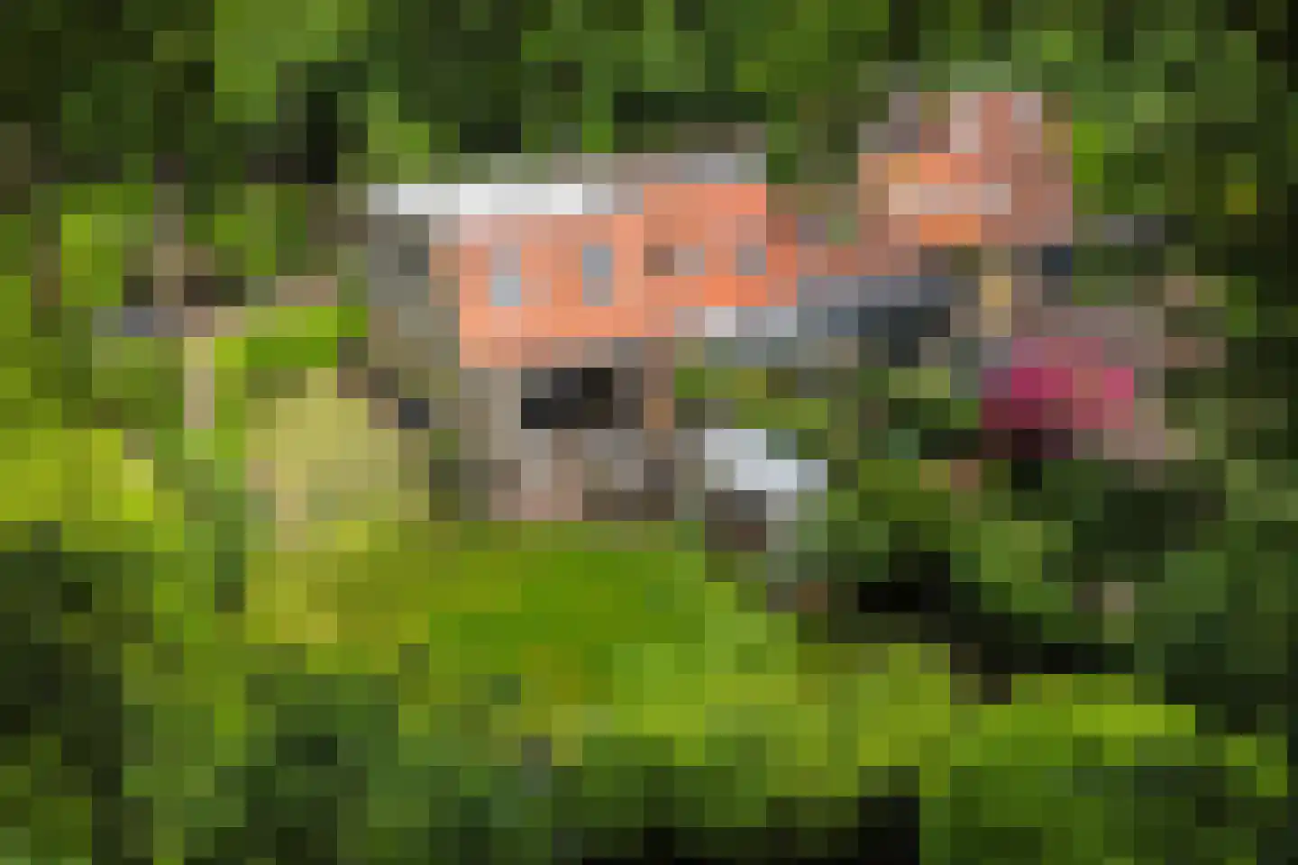 Rading 16 05 Loosdrecht thumbnail 25