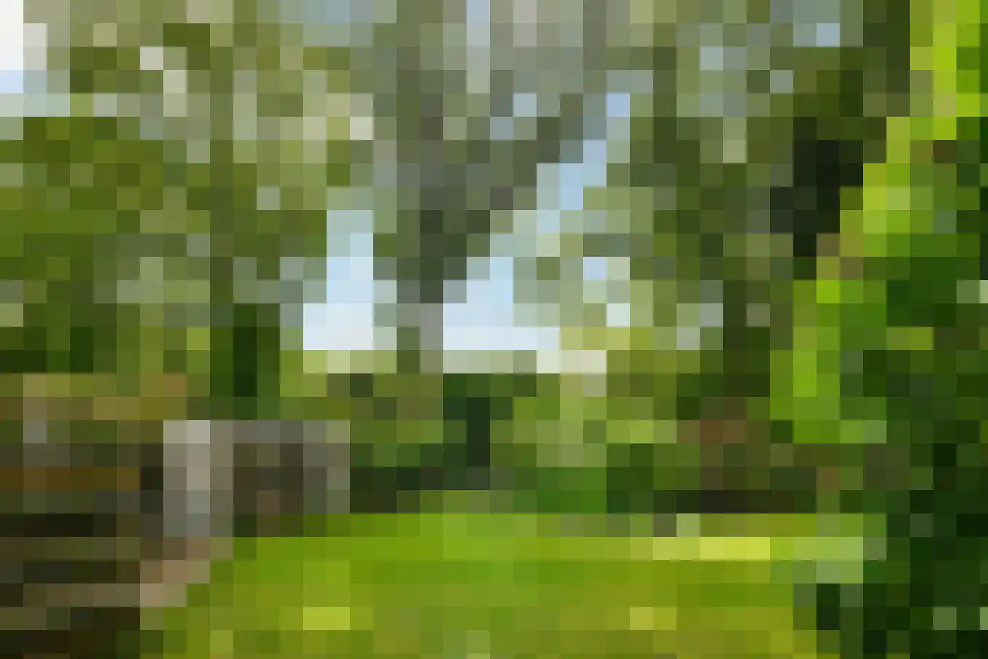 Rading 16 05 Loosdrecht thumbnail 26