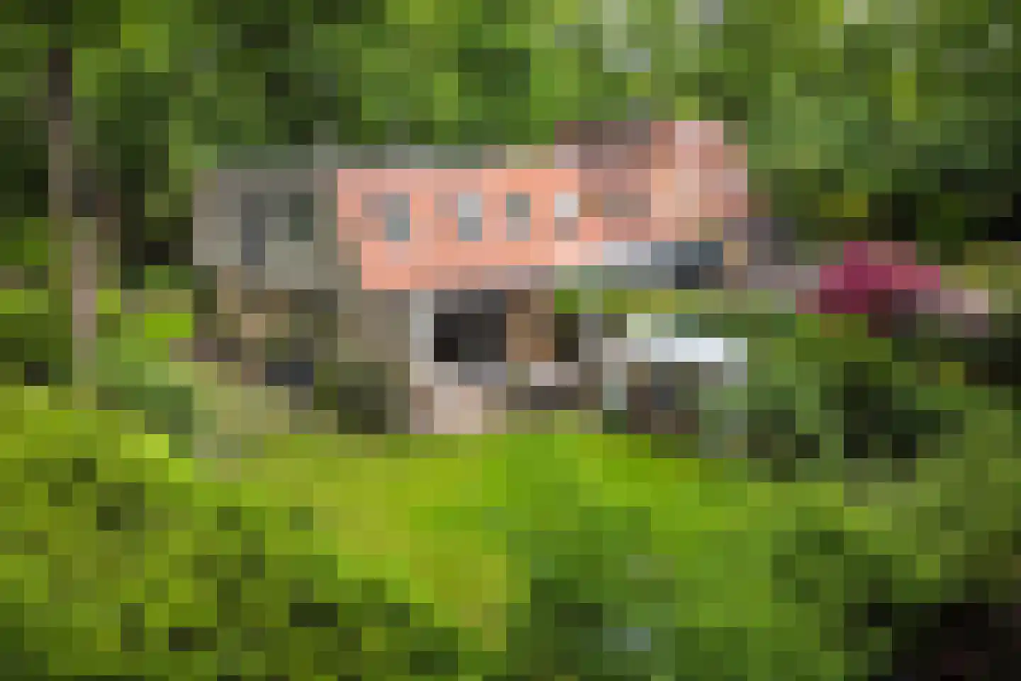 Rading 16 05 Loosdrecht thumbnail 29