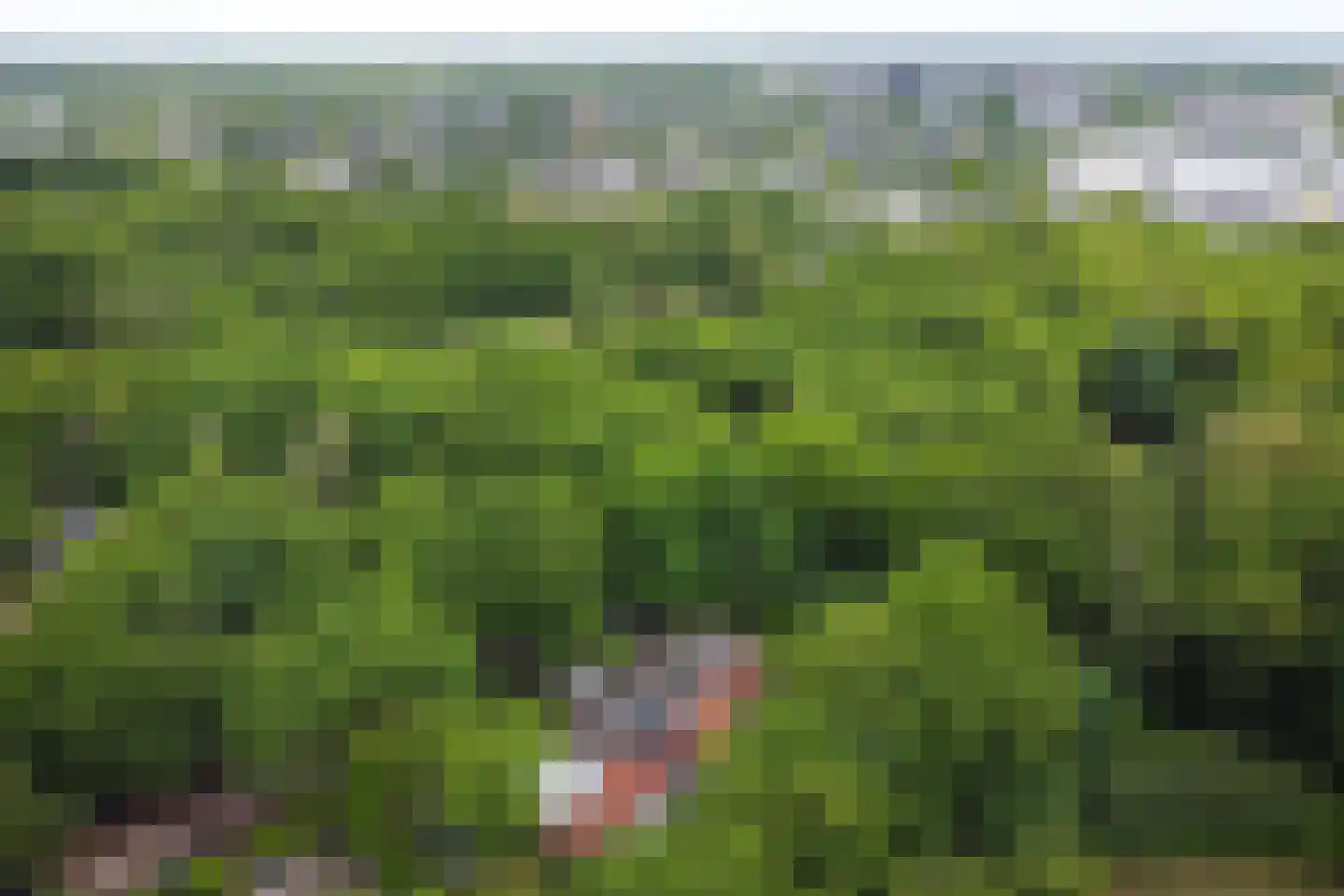 Rading 16 05 Loosdrecht thumbnail 32