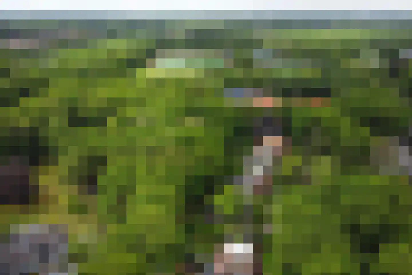 Rading 16 05 Loosdrecht thumbnail 33