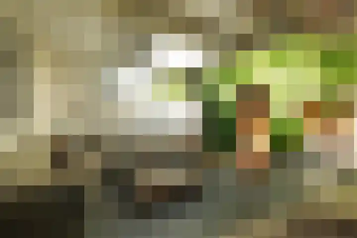Rading 16 18 Loosdrecht thumbnail 14
