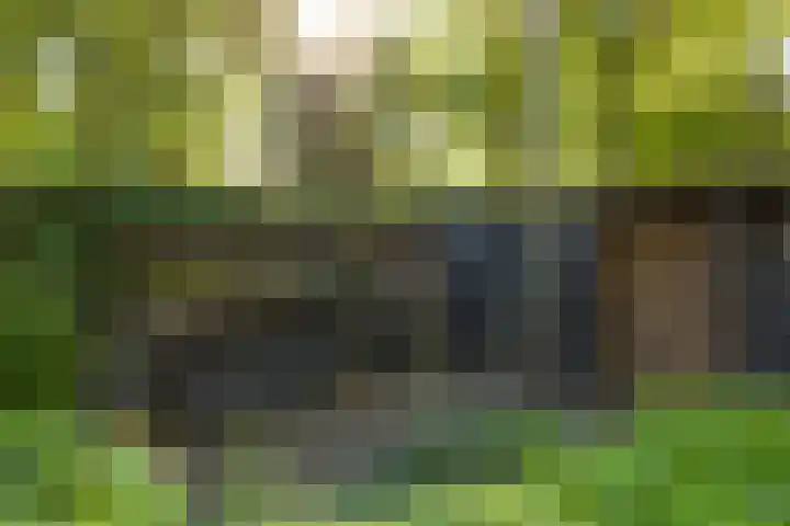 Rading 16 18 Loosdrecht thumbnail 28
