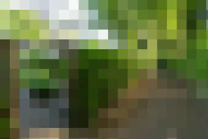 Rading 16 18 Loosdrecht thumbnail 31