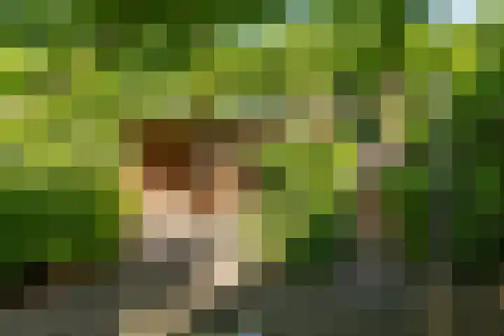Rading 16 18 Loosdrecht thumbnail 33
