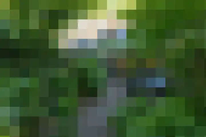 Rading 16 18 Loosdrecht thumbnail 37