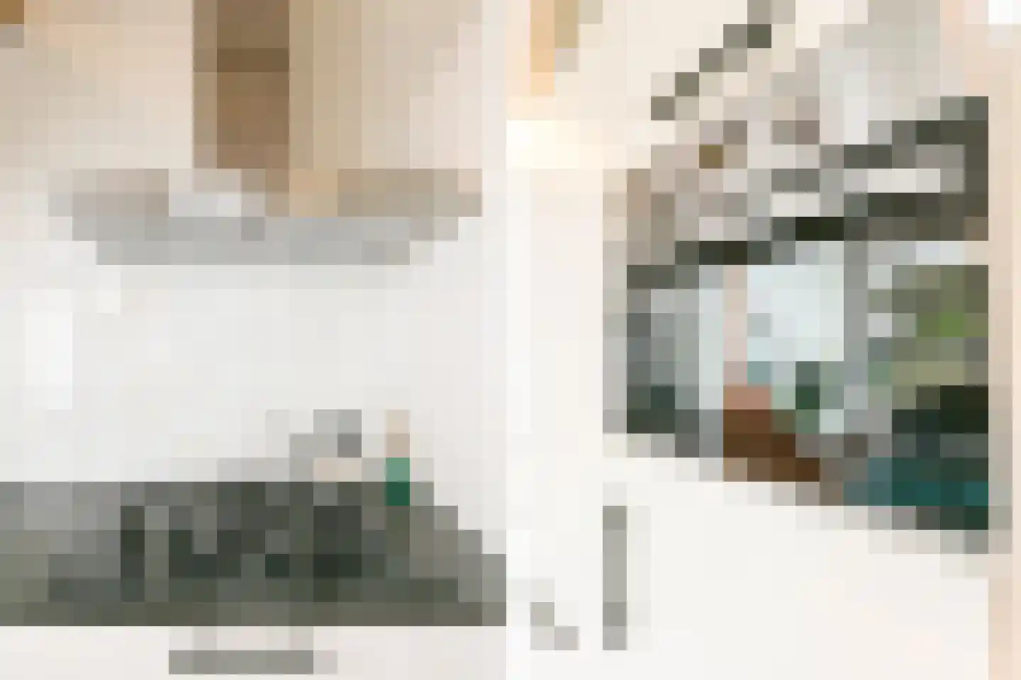 Rading 2 a 09 Loosdrecht thumbnail 11