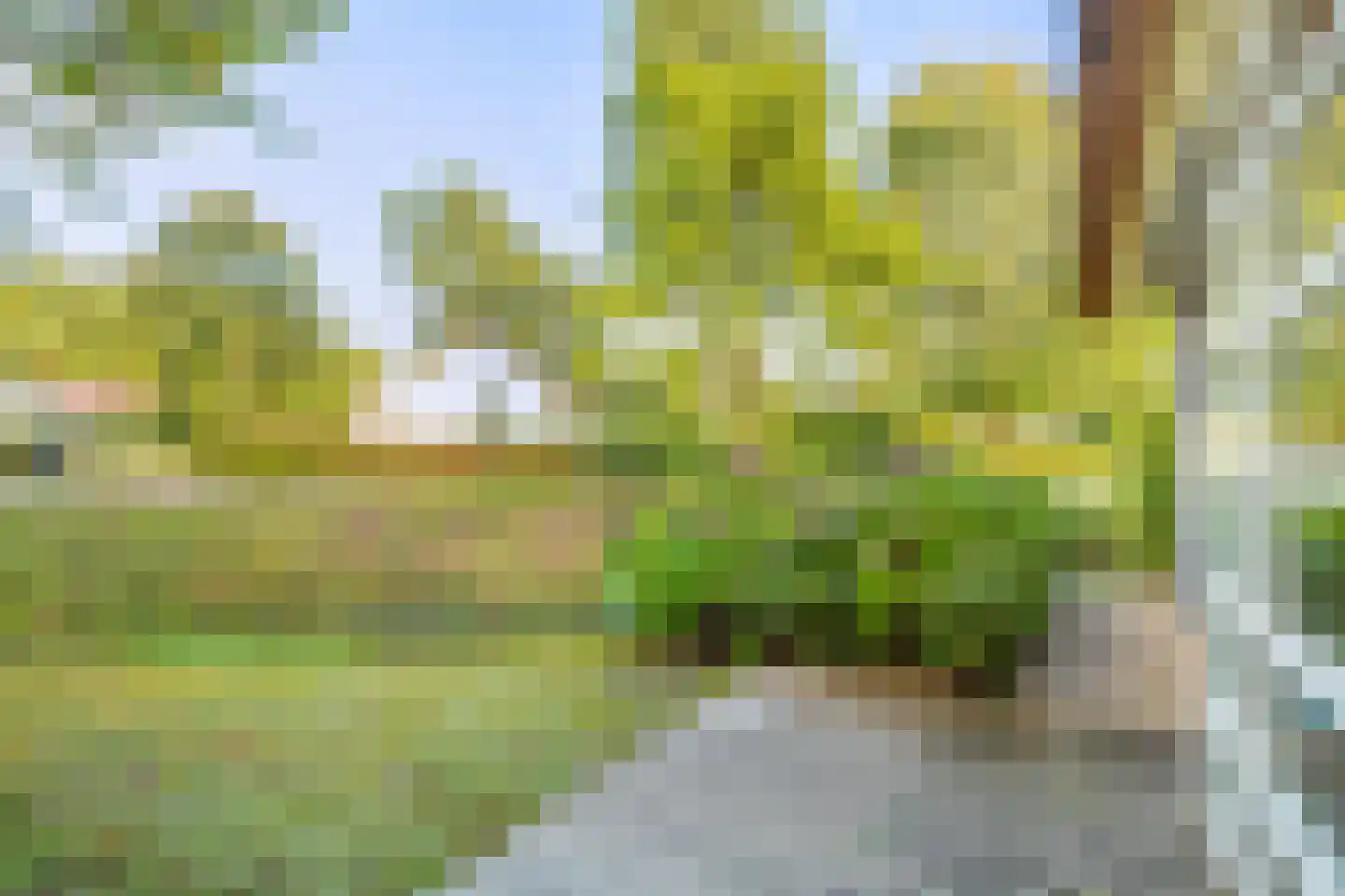 Rading 2 a 09 Loosdrecht thumbnail 42