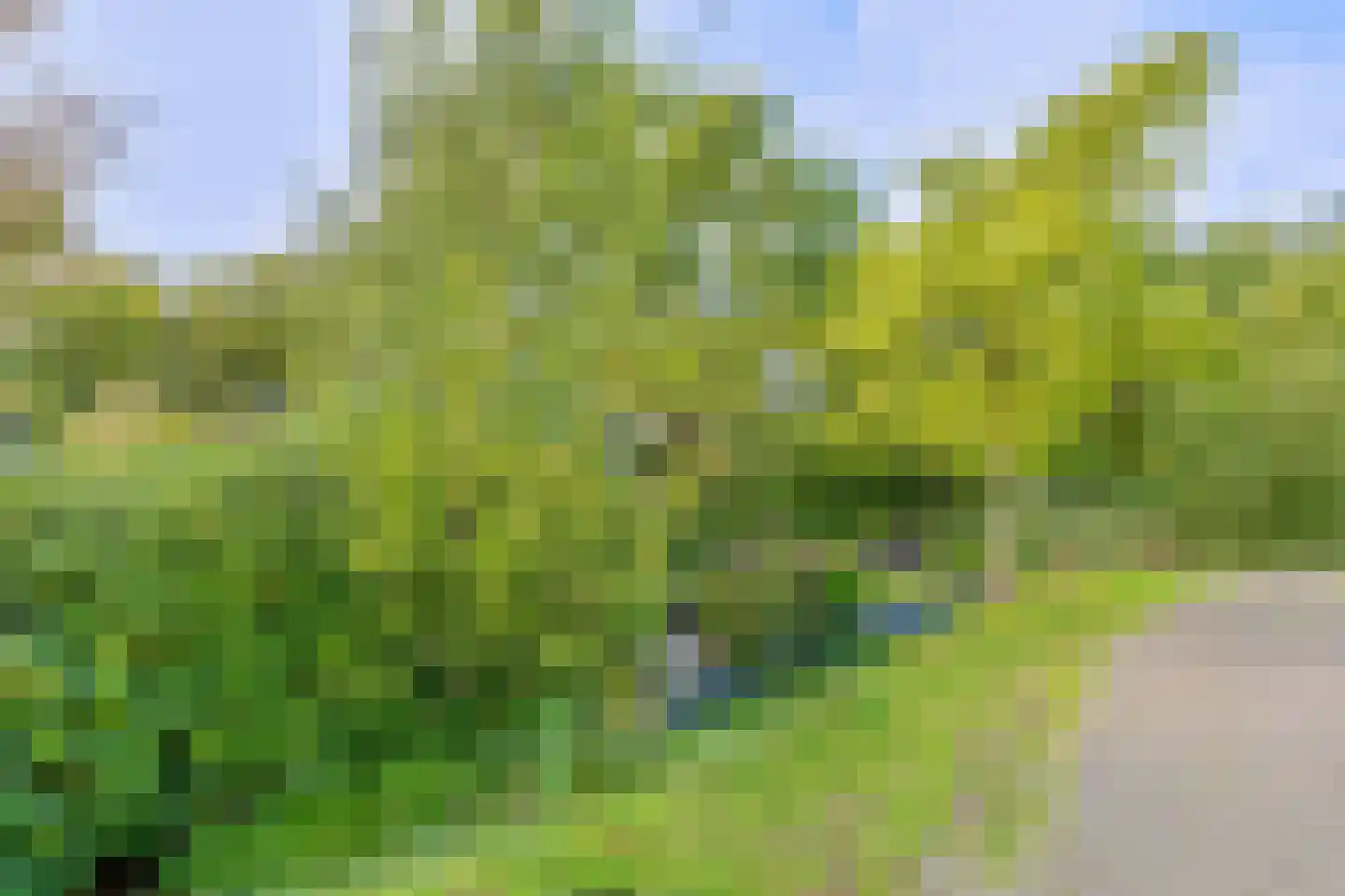 Rading 2 a 09 Loosdrecht thumbnail 48