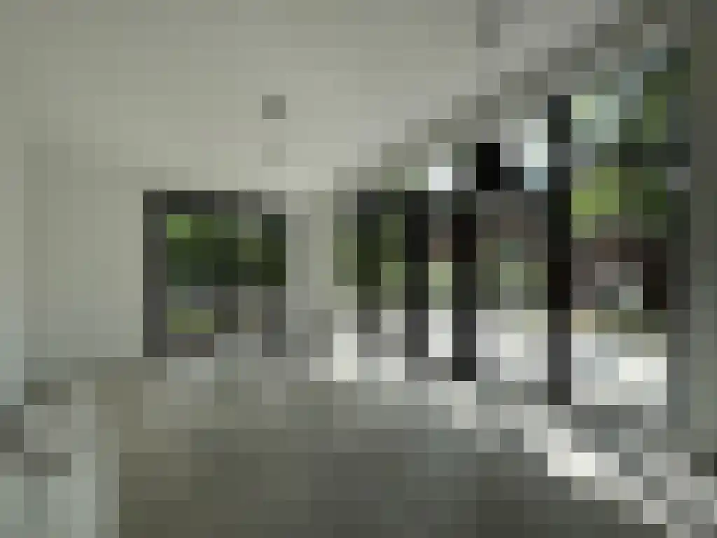 Rading 2 Loosdrecht thumbnail 4