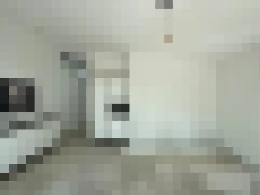 Rading 2 Loosdrecht thumbnail 6