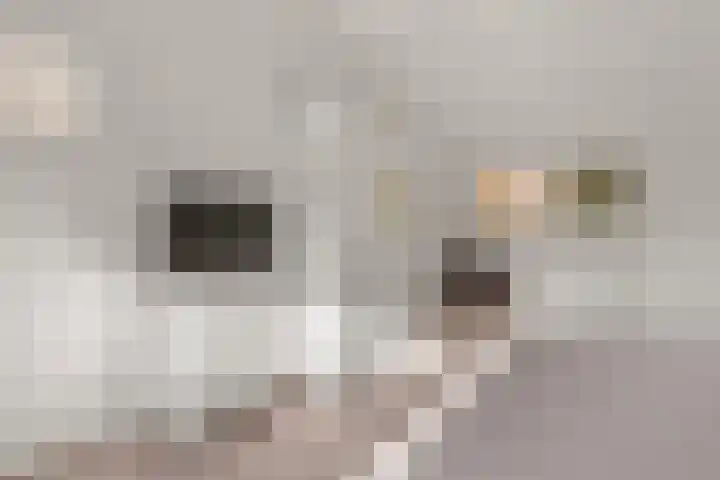 Rading 26 Loosdrecht thumbnail 23