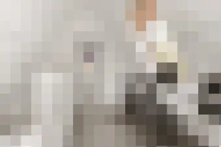 Rading 26 Loosdrecht thumbnail 33