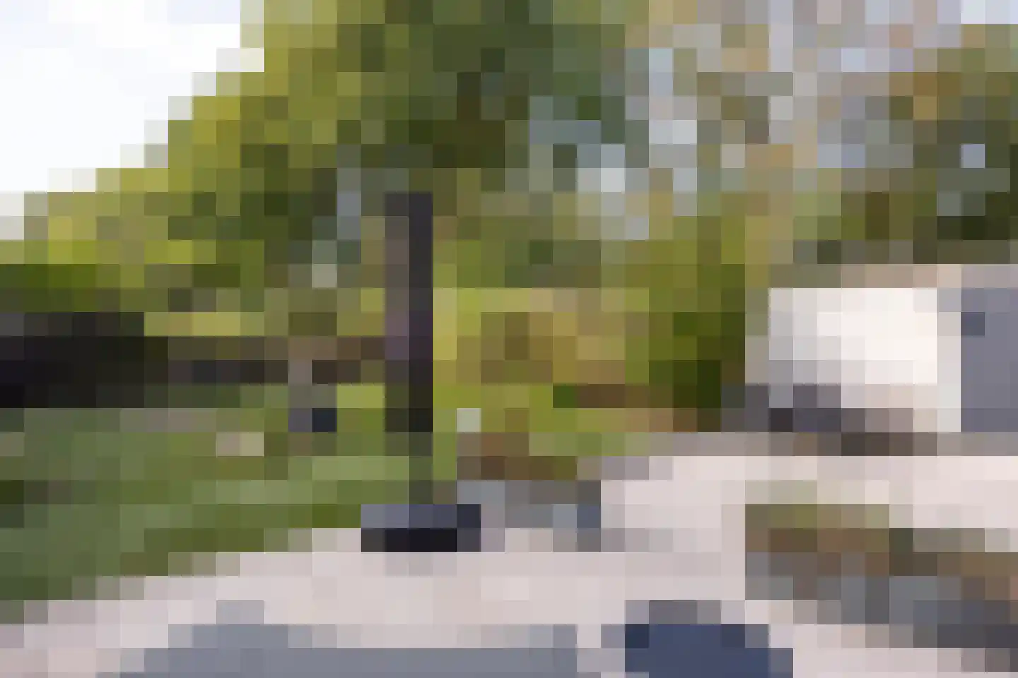 Rading 36 Loosdrecht thumbnail 26