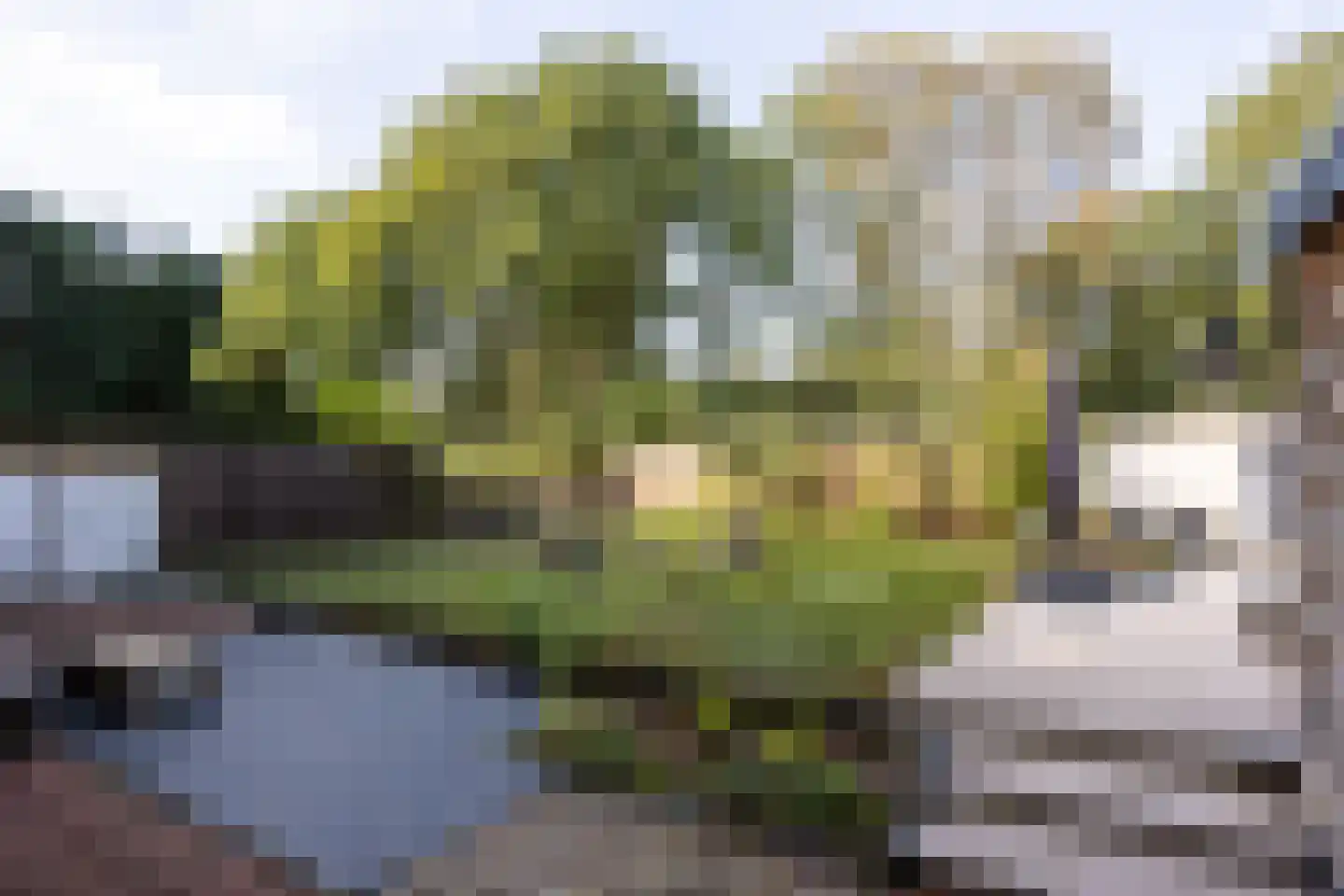 Rading 36 Loosdrecht thumbnail 28