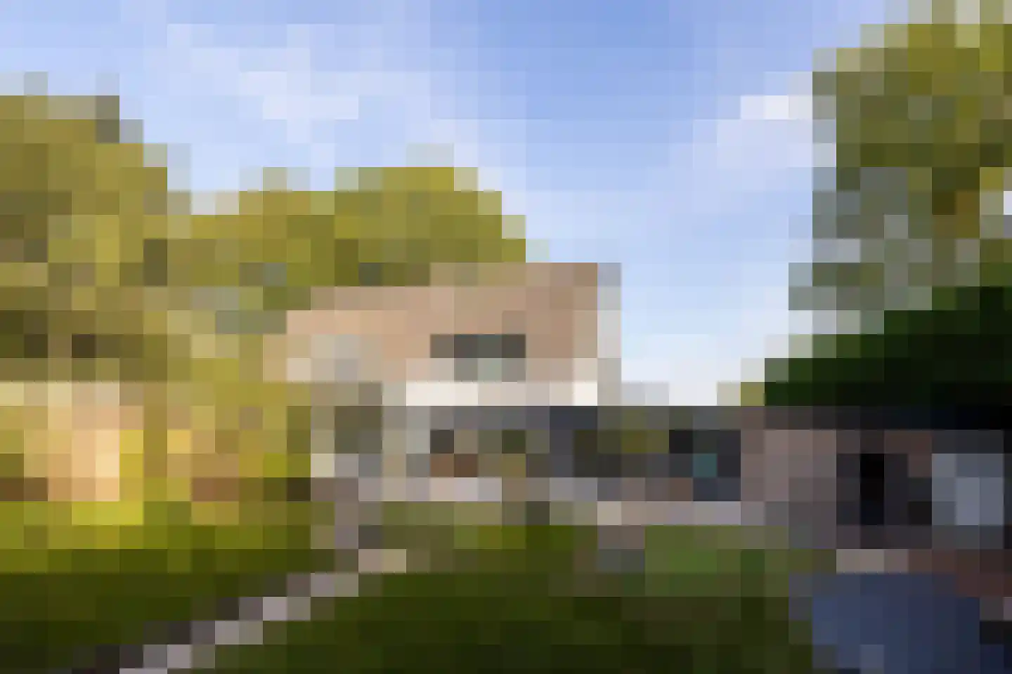 Rading 36 Loosdrecht thumbnail 30