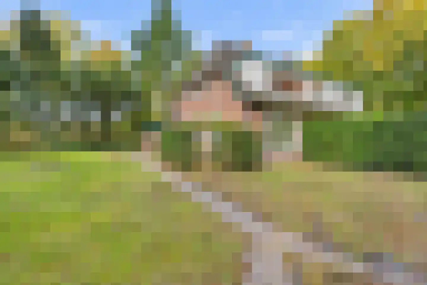 Rading 51 Hilversum thumbnail 23
