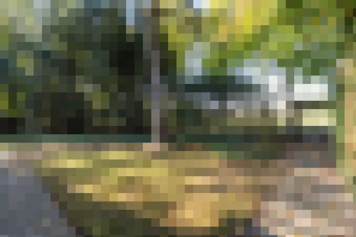 Rading 51 Hilversum thumbnail 25