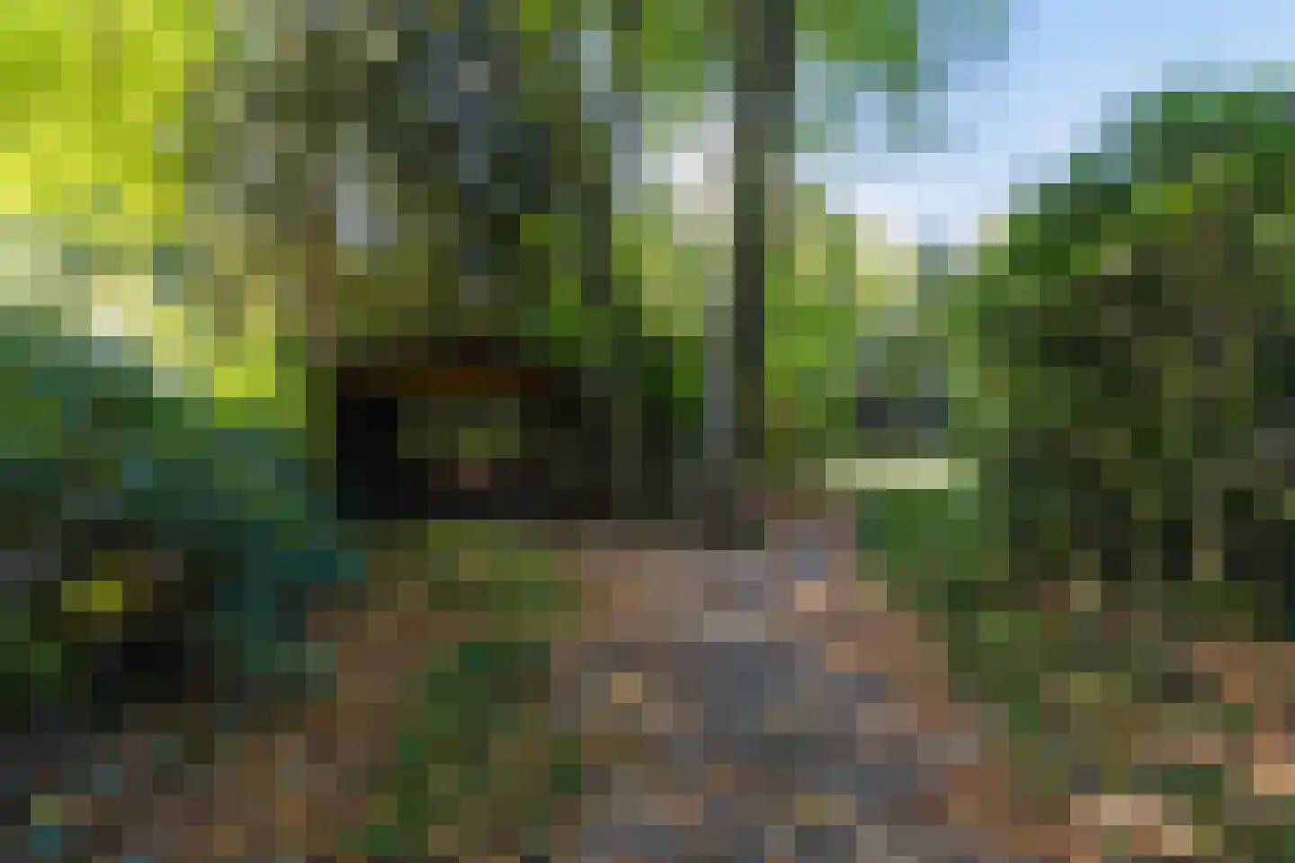 Rading 51 Hilversum thumbnail 26