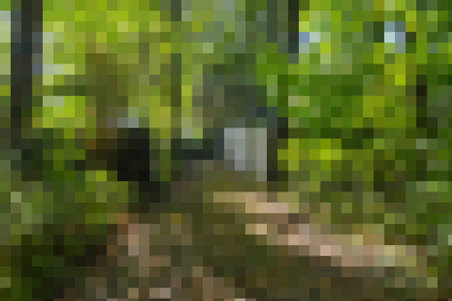 Rading 51 Hilversum thumbnail 27