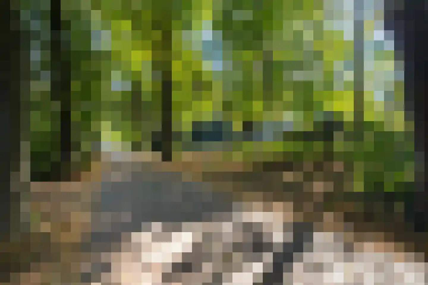 Rading 51 Hilversum thumbnail 28